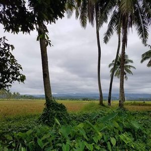 Meet your Posher, Teresa